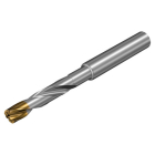 Sandvik Coromant 860.1-0317-010A1-GM X1BM CoroDrill® 860 solid carbide drill